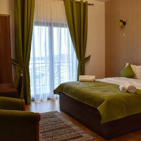 Pensiunea Casa Hortopan Maison d'hôtes Târgu Jiu
