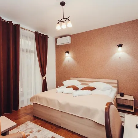 Pensiunea Casa Hortopan Maison d'hôtes Târgu Jiu